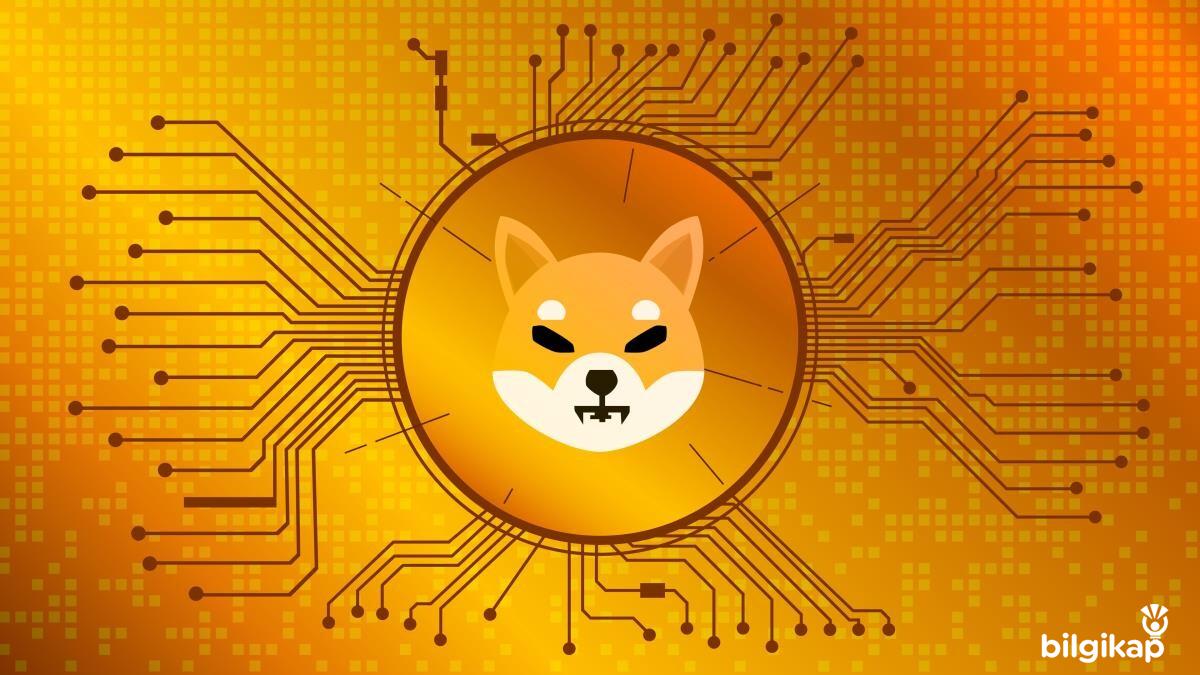 SHIB Coin (SHIBA INU) nedir? Değeri Yükselecek mi? Elon Mask ile Bağlantısı  Alt Coinler Kripto Para